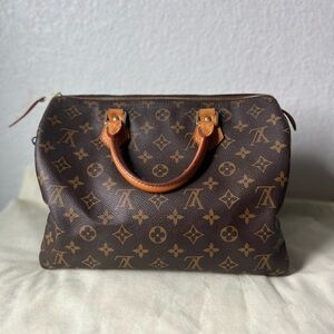 Louis Vuitton Brown and Tan Monogram Bag